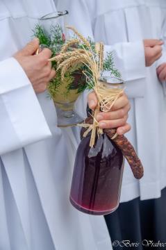 Utrinki z Martinovega sejma in blagoslova vina 12